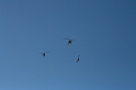 IMG_8602 (Resize)